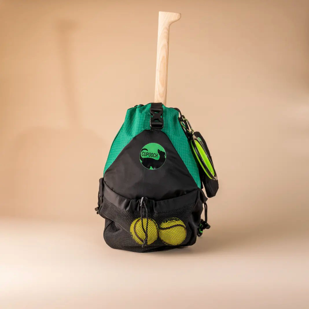The Ascal Bag: Where Ancient Legend Meets Modern Adventure