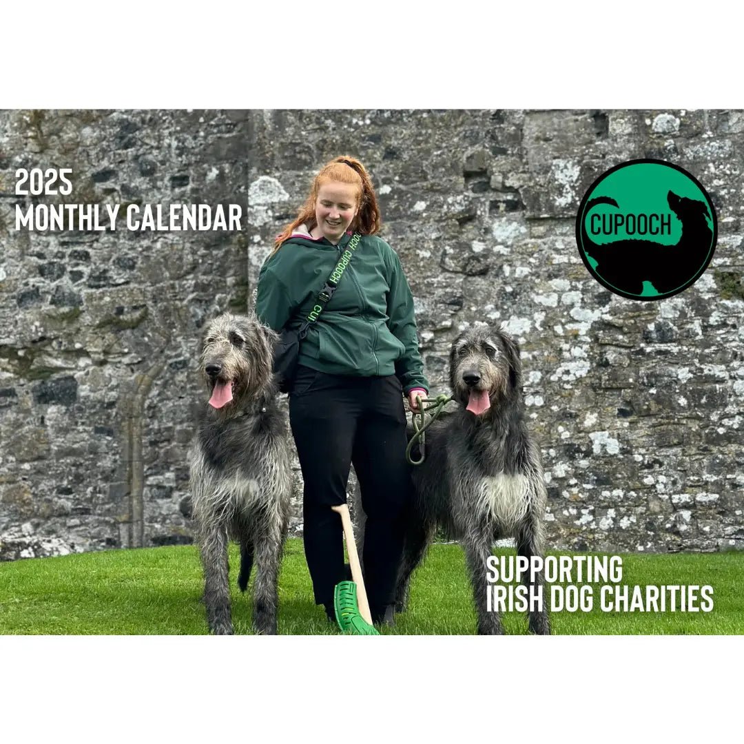 Facebook Munster Lost And Found Dogs For Adoption CuPooch Dog