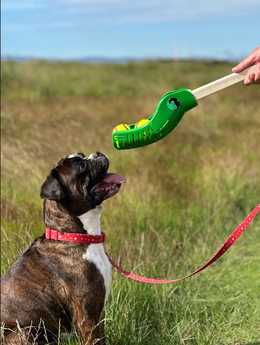 CuHurl Eco - Dog Ball Thrower