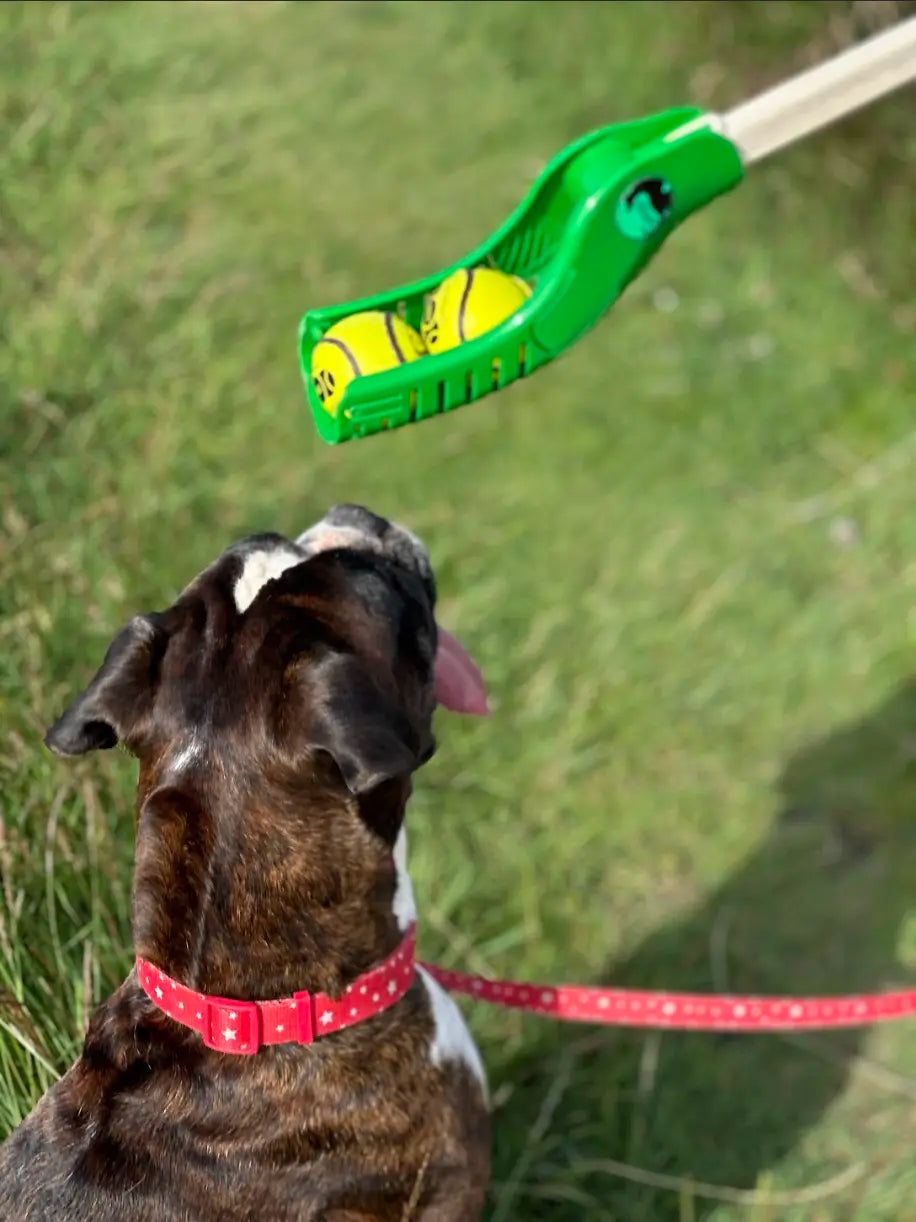 CuHurl Eco - Dog Ball Thrower