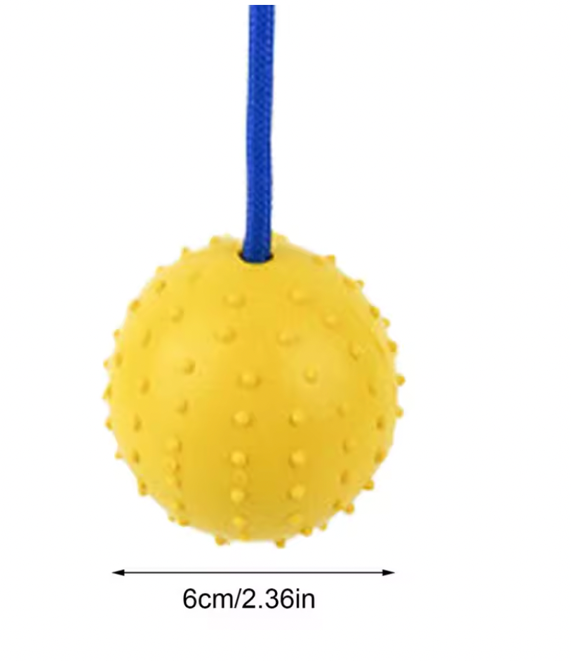 Dog Ball with Rope