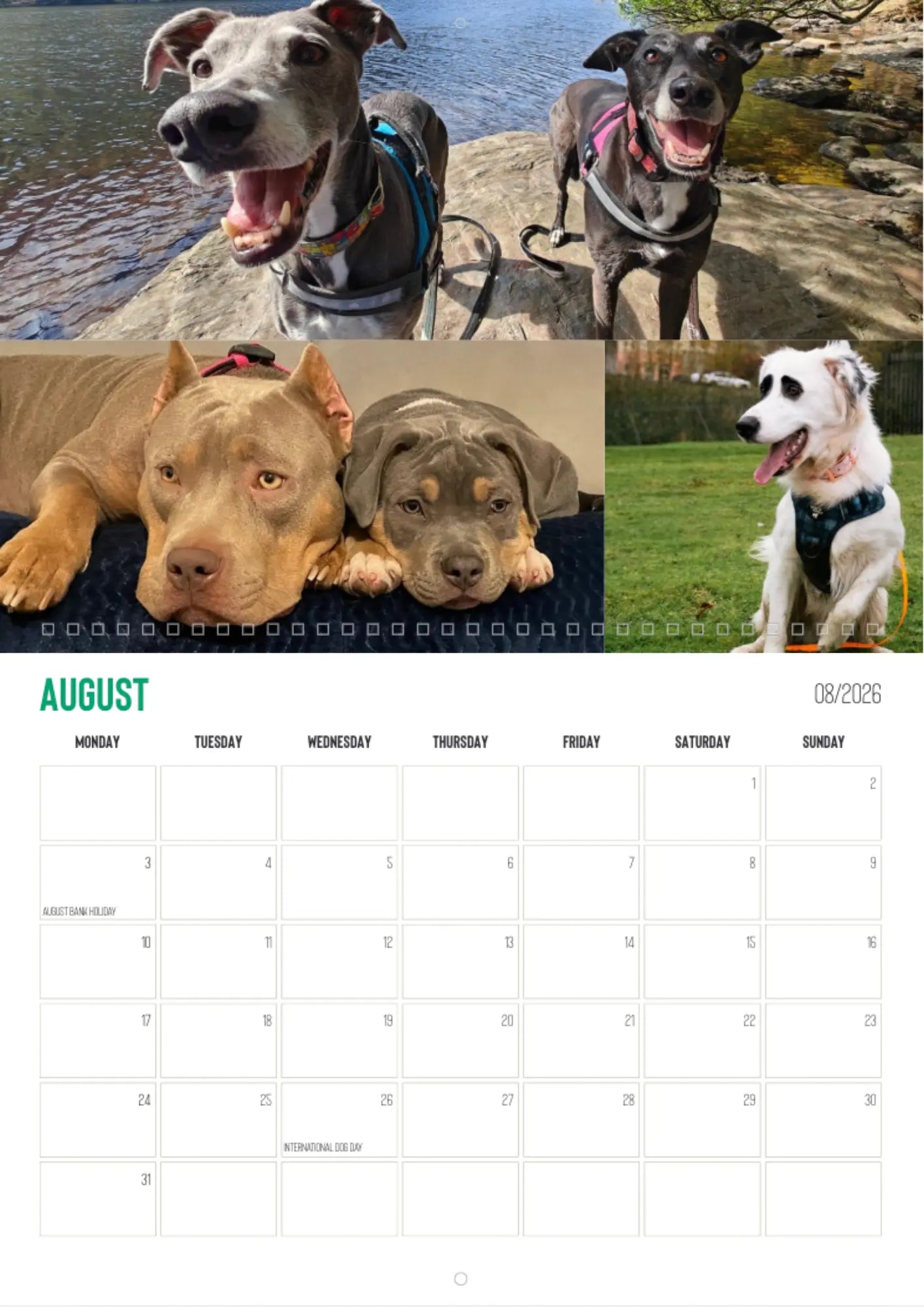 CuPooch Dog Charity Calendar 2026