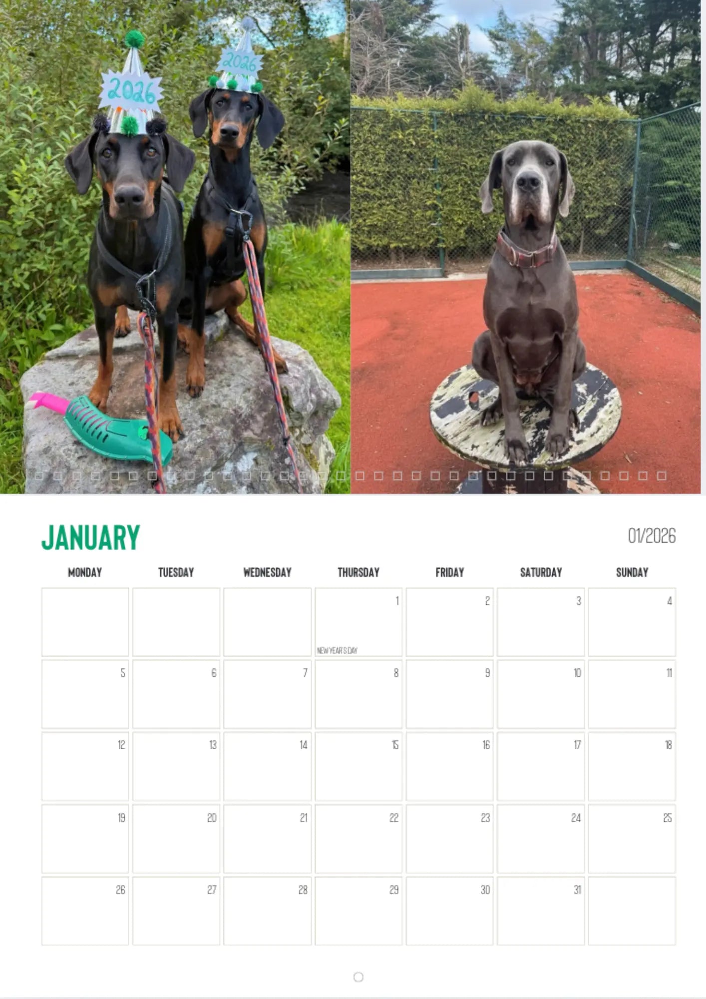 CuPooch Dog Charity Calendar 2026