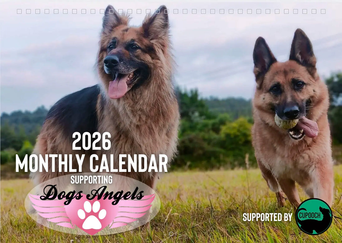 CuPooch Dog Charity Calendar 2026