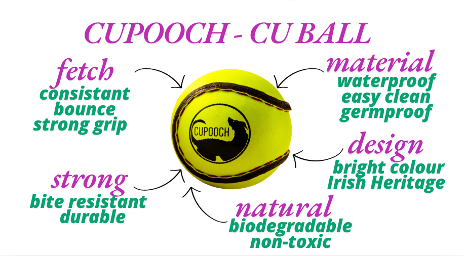Pooch Essentials Bundle