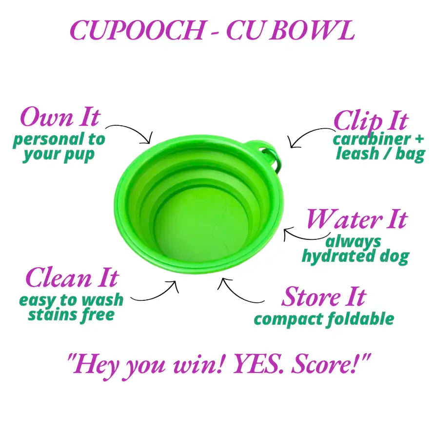 Pooch Essentials Bundle