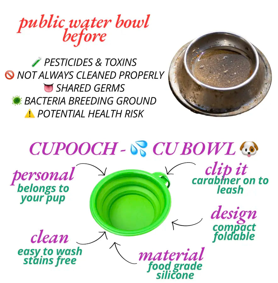 Pooch Essentials Bundle