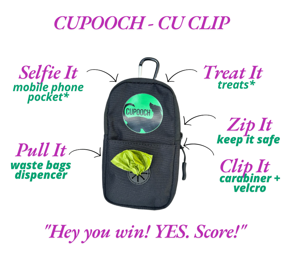 Pooch Essentials Bundle