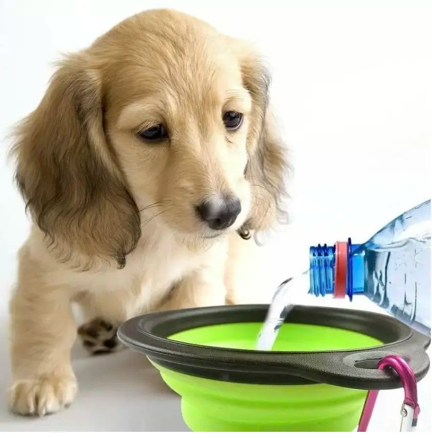 CuBowl - Foldable Dog Water Bowl Large