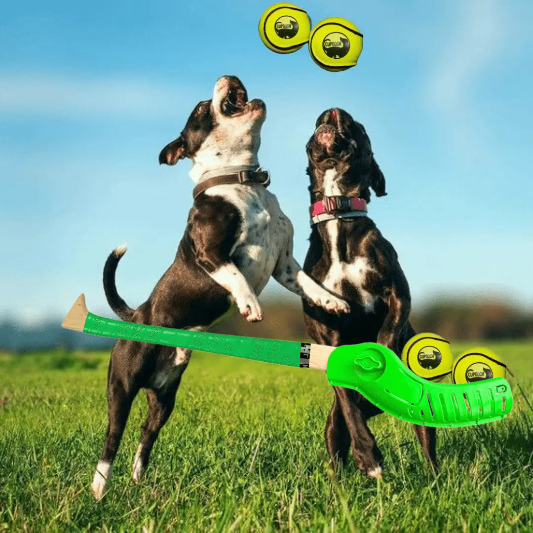 two_dogs_jump_up_with_two_balls