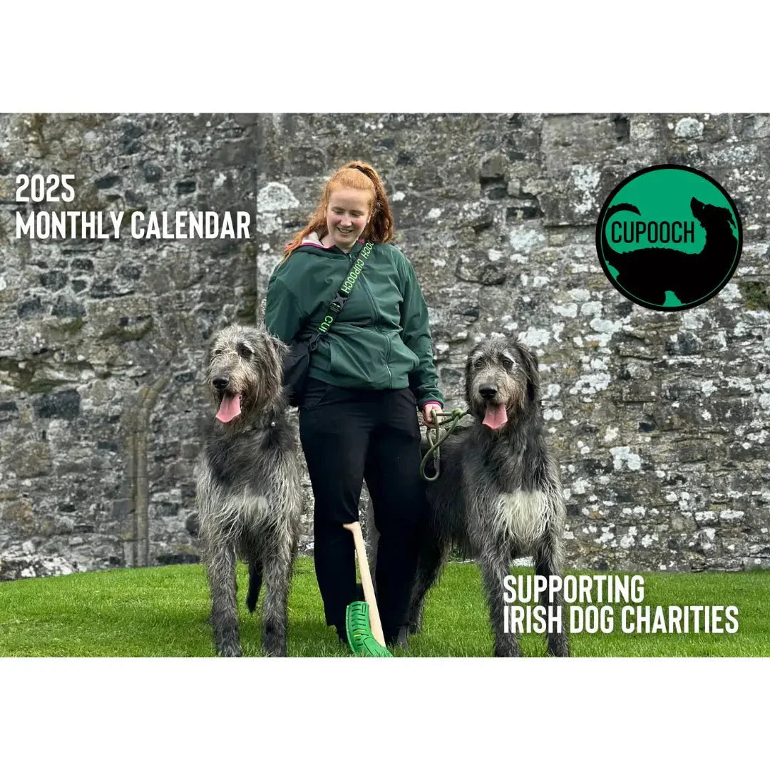 Irish Heritage Sites With Your Dog