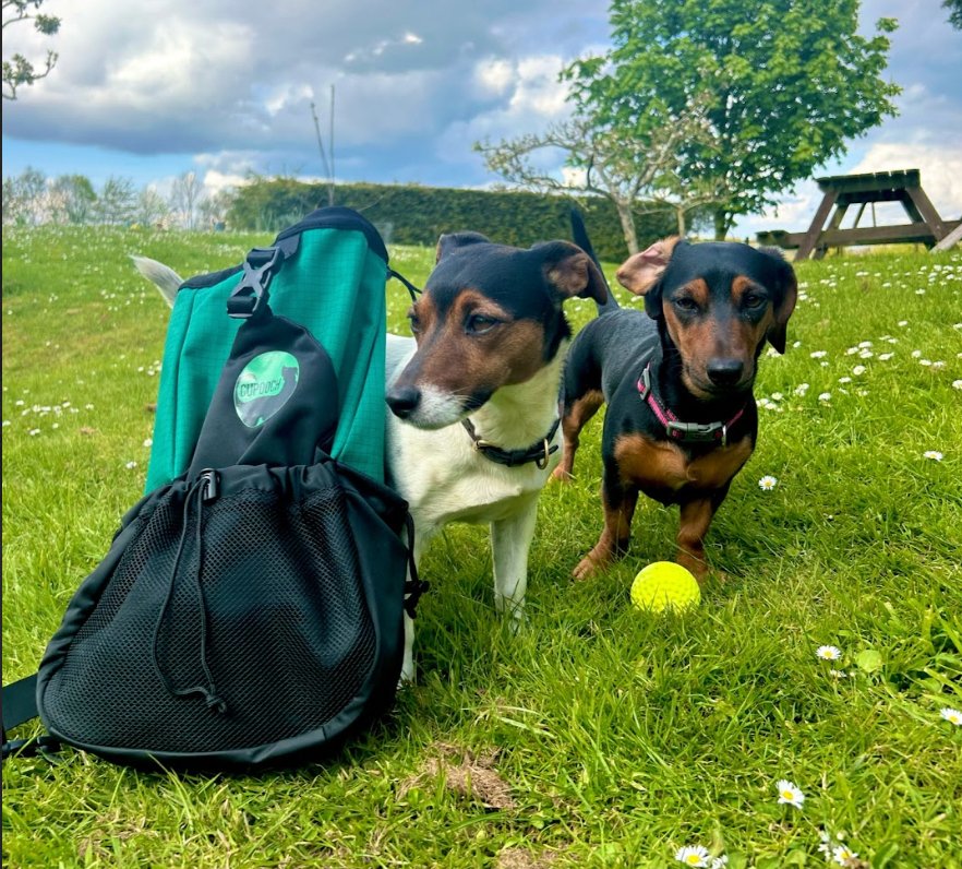 The Best Free Dog-Friendly Things to Do in Dublin This Fortnight