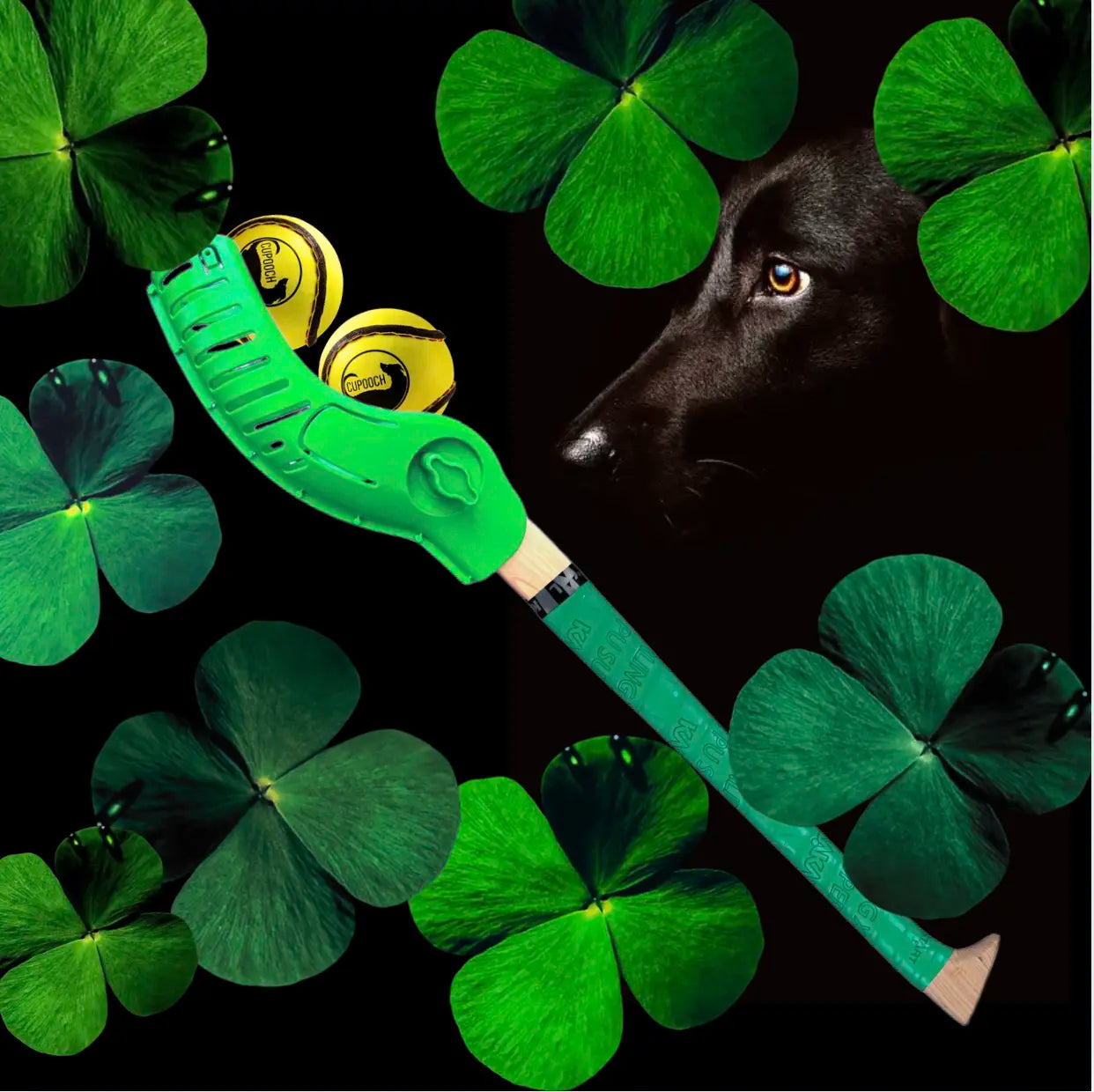 The Bond Between Dogs and Humans in Irish Folklore: A Tail as Old as Time