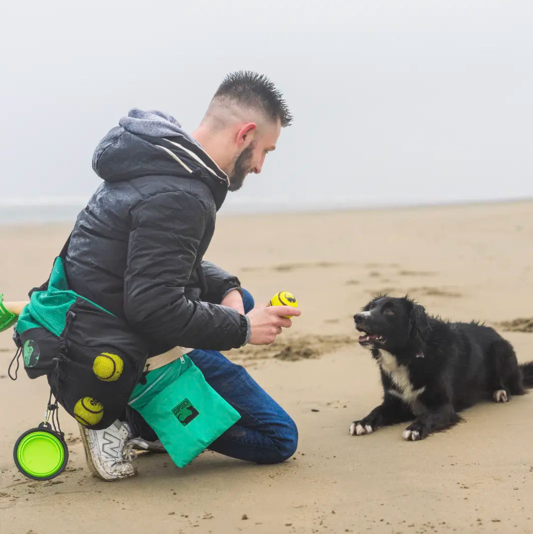 The Big Bark Dog Podcast with CuPooch