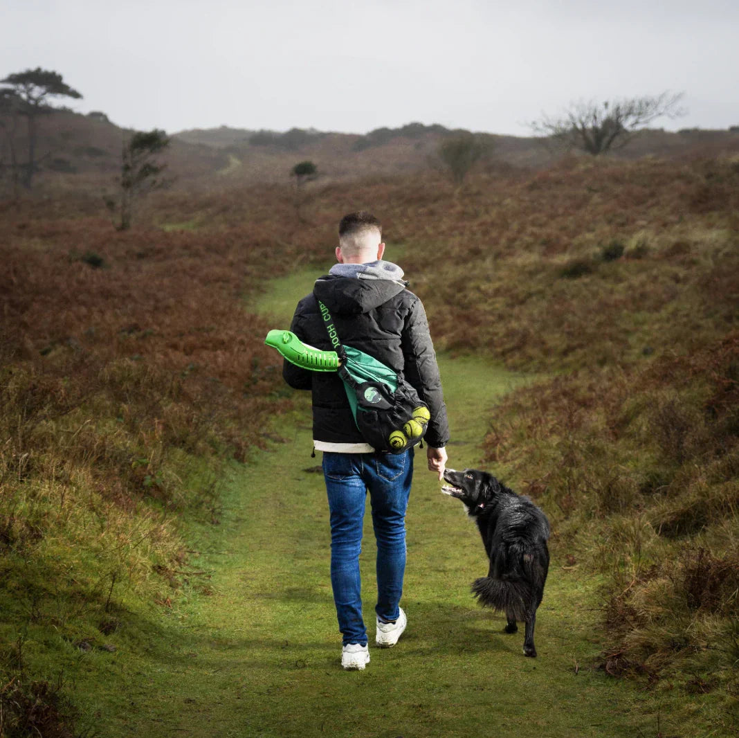 Understanding Dog Aggression – CuPooch