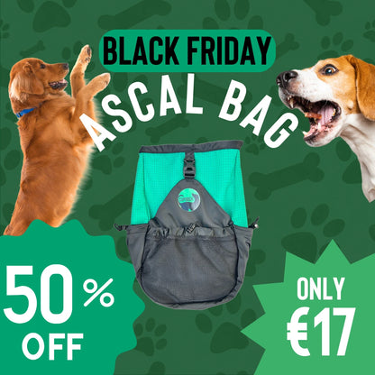 Ascal Sling Bag Dog Gear and Accessories