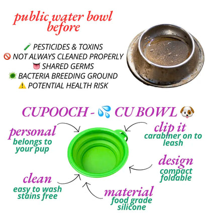 Pooch Essentials Bundle