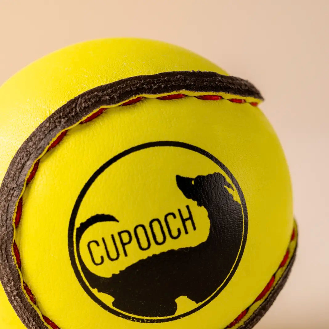 CuPooch Dog Toy - Strong Fetch Ball (Pack of 2)