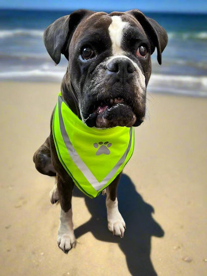 Dog Safety High Vis Reflective Pet Bandana - CuPooch