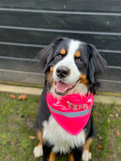 MADRA Charity Reflective Bandana