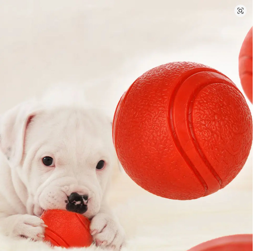 Solid Rubber Ball for Dogs