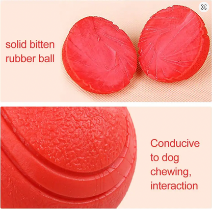 Solid Rubber Ball for Dogs